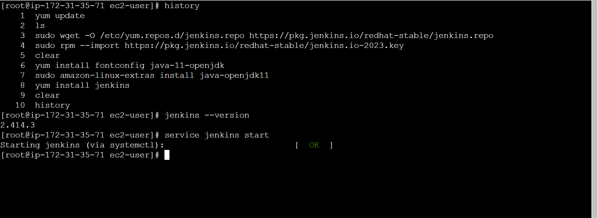/static/images/posts/devops/install-jenkins-linux/commands.png