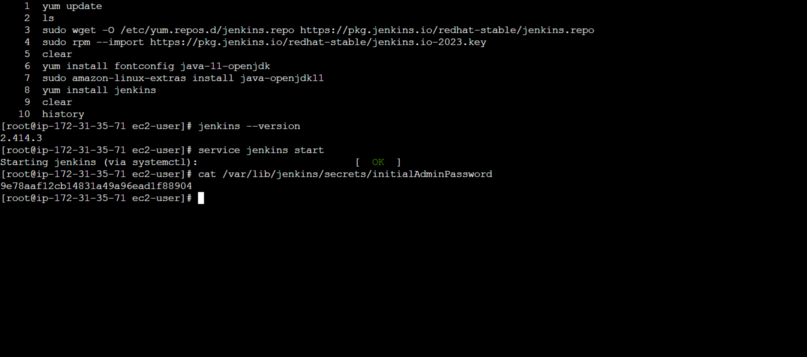 /static/images/posts/devops/install-jenkins-linux/Password.png